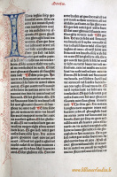 Delftse-1477-2